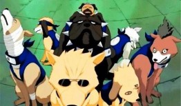 火影忍者帕克最新爆料1,帕克最新爆料揭秘宇智波斑惊天秘密